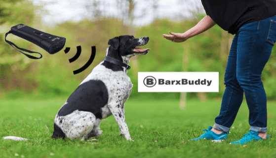 BarxBuddy Review