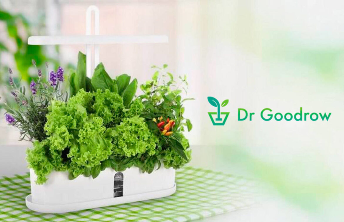 DR. GOODROW REVIEW-Home Aerogarden System?