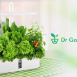 DR. GOODROW