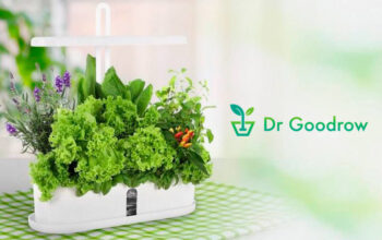 DR. GOODROW