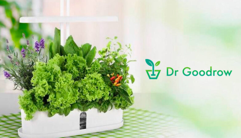 DR. GOODROW
