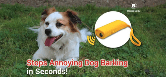 BARXBUDDY REVIEW: Best Dog Anti Bark Device