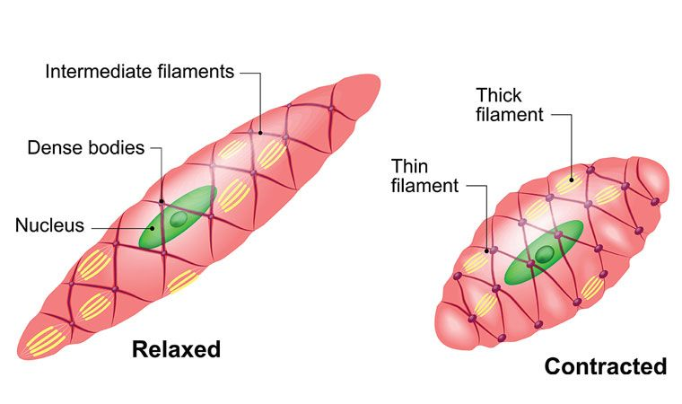 Trigger Point Rocker Features